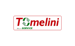 Tomelini